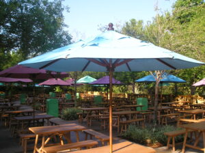 Double-Vent Umbrellas in Various Vibrant Colors